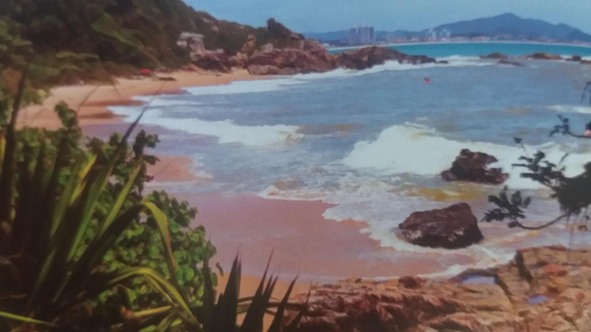 Casa Temporada Beto Carrero Villa Penha  Bagian luar foto